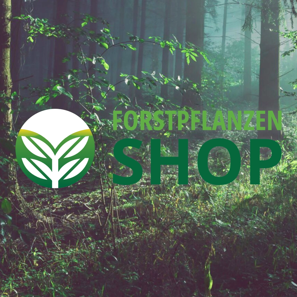 Panforst Forstpflanzenshop